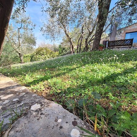 Dimora Nel Chianti Konuk evi San Sano Dış mekan fotoğraf